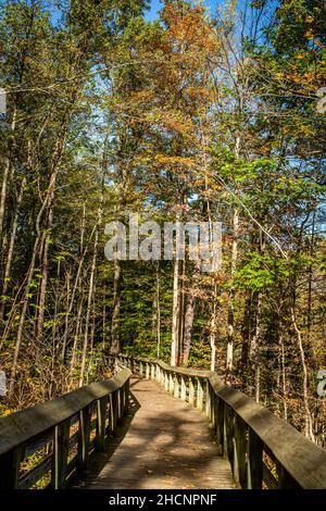 The Brandywine Gorge Trail during Autumn leaf color change at Cuyahoga Valley National Park between Cleveland and Akron, Ohio. Stock Photo