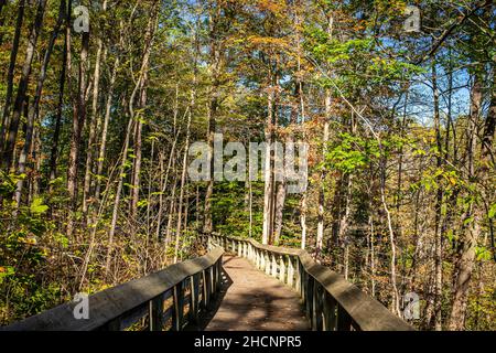 The Brandywine Gorge Trail during Autumn leaf color change at Cuyahoga Valley National Park between Cleveland and Akron, Ohio. Stock Photo