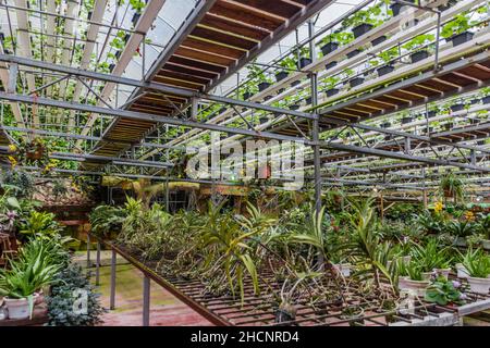 CAMERON HIGHLANDS, MALAYSIA - MARCH 27, 2018: View of Agro Highlands Cafe with a strawberry overhead farm. Stock Photo