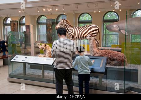 The Natural History Museum in downtown Los Angeles, California Stock Photo