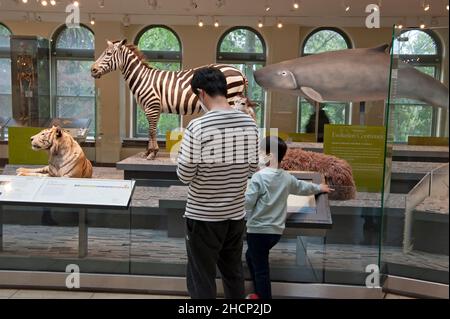 The Natural History Museum in downtown Los Angeles, California Stock Photo