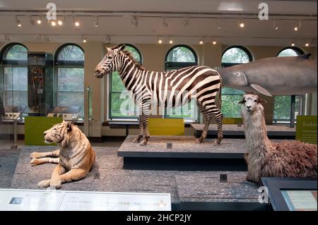 The Natural History Museum in downtown Los Angeles, California Stock Photo