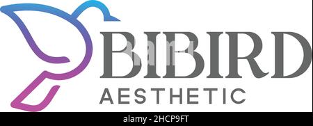 Flat letter BIBIRD AESTHETIC color logo design Stock Vector