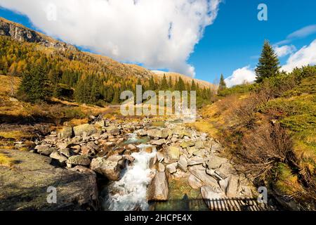Val di Fumo and Chiese River in autumn. National Park of Adamello Brenta, Trento province, Trentino Alto Adige, Italy, Europe. Stock Photo