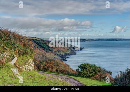 Lovely day in winter walking along the South West Coastal Path in Cornwall between Rame Head and Cawsand, the bracken sets the cliffs off beautifully. Stock Photo
