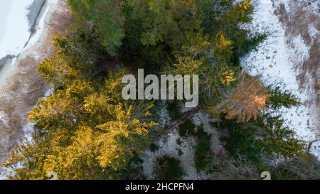 Aerial view of little Swedish village with islands and forests on a Baltic sea coast at winter time. Drone photography - winter in Sweden Stock Photo