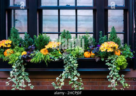 Big planters with various plants set against an outdoor glass wall Stock Photo