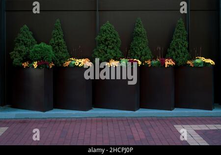 Big planters with various plants set against an outdoor wall Stock Photo