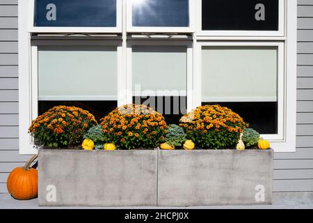 Big planters with various plants set against an outdoor wall Stock Photo