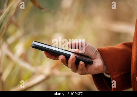 Mobile phone in female hand. Woman using smart phone in agricultural field Stock Photo