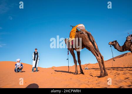 Bedouins with camels standing on sand dune in desert against clear sky Stock Photo