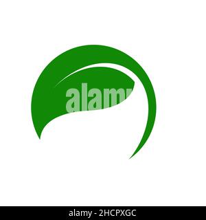 Green leaf logo vector illustrator design. Stock Vector