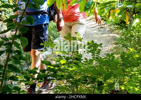Pair of people walking on a hiking trail through bushes Stock Photo