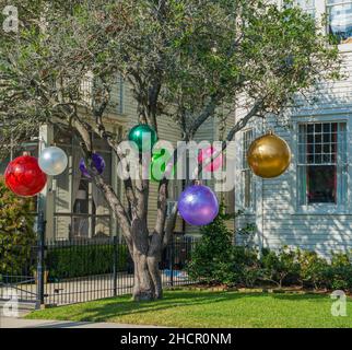 NEW ORLEANS, LA, USA - DECEMBER 30, 2021: Huge Christmas tree ornaments displayed on a wax myrtle tree in Uptown Neighborhood Stock Photo