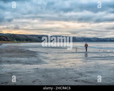 Walking the dog at Croy beach South Ayrshire in winter Stock Photo