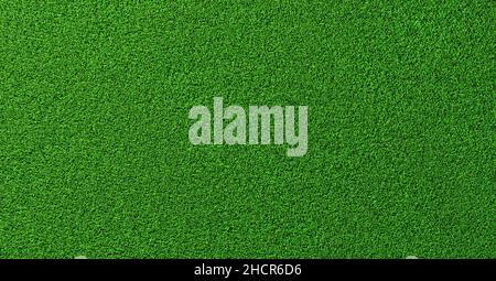 Detailed green grass lawn texture background seen from above Stock Photo