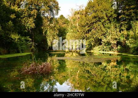 The Silent Pool, near Guildford, Surrey, England Stock Photo