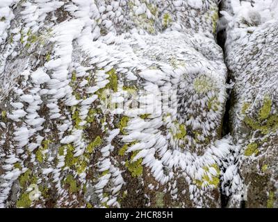 Lichen covered rocks coated in hoar frost on the summit of Red Screes, Lake District UK. Stock Photo