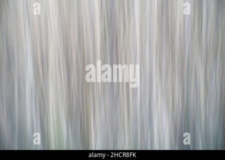 A colorful pattern, mainly white. The picture is taken blurred by panning the camera. Some weeds. Stock Photo