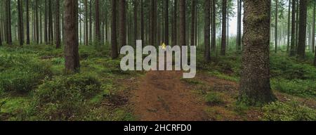 man in yellow rain jacket goes on a path in to the forest, banner size Stock Photo