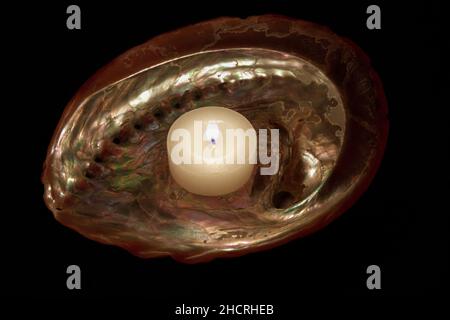 Abalone seashell with a lit candle. Black background. Stock Image. Stock Photo