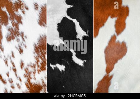 Collage of photos of wool and fur coat of different animals. Cow hide collage Stock Photo