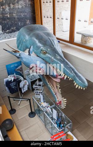 England, Dorset, Kimmeridge, Interior View of The Etches Collection Museum of Jurassic Marine Life Stock Photo