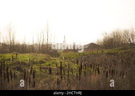 Cutacre Country Park near Bolton, Greater Manchester Stock Photo