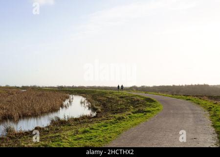 Cutacre Country Park near Bolton, Greater Manchester Stock Photo