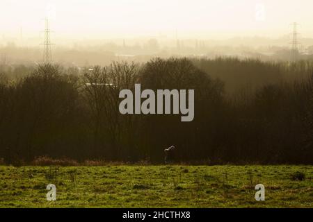 Cutacre Country Park near Bolton, Greater Manchester Stock Photo