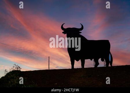 An Osborne Black Bull sign.  This one is near Casabermeja, Malaga Province, Andalusia, southern Spain.  The bull sign was originally made to advertise Stock Photo