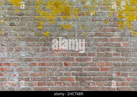 weathered brick wall background Stock Photo