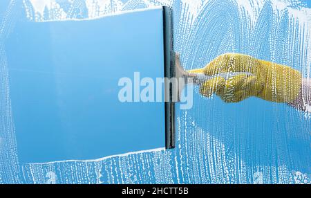hand in blue rubber glove holding yellow cleaning sponge, cleaning and ...