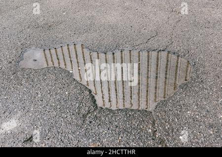 water puddles with raindrops and water circles on cracked wet asphalt road Stock Photo