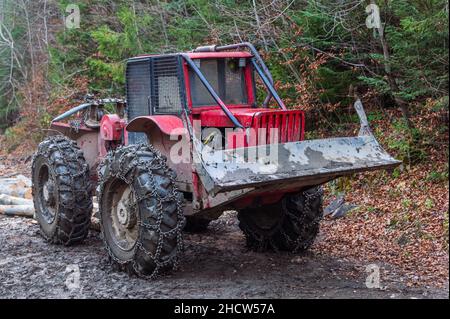 The red skidder in the forest. The timber skidding machine. Large rubber wheels with chains facilitate movement in difficult terrain Stock Photo