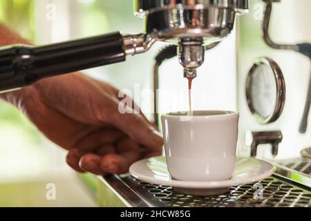 barista holding tamper above portafilter with grinded coffee, espresso, manual  press, arabica Stock Photo by LightFieldStudios