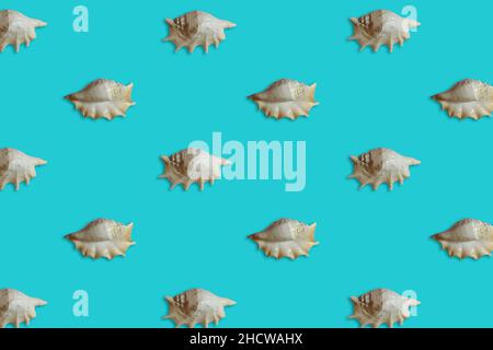 Trendy pattern made with sea shell on bright light blue background. Summer vacance concept. Stock Photo