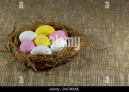 Nest with colorful Easter eggs. Stock Photo
