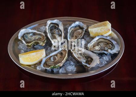 An exquisite and expensive dish of sea clams of oysters with ice and lemon on an iron plate on a wooden table. Stock Photo