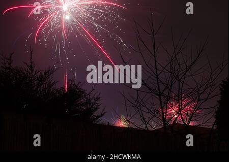 View from a garden of colourful fireworks in the night sky celebrating the new year Stock Photo