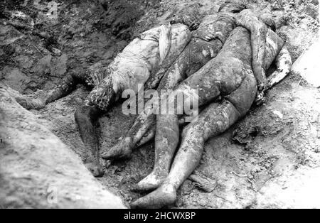 Remains of victims at Janowska Nazi camp, after liberation - Lviv, west Ukraine. Stock Photo