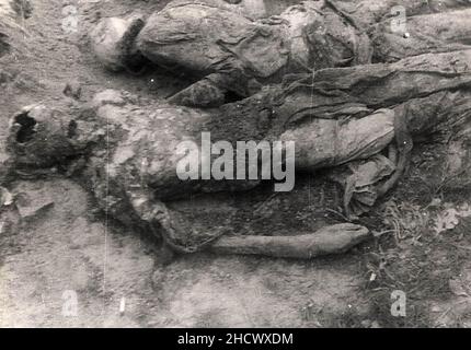 Remains of victims at Janowska Nazi camp, after its liberation (Lviv, west Ukraine). Stock Photo