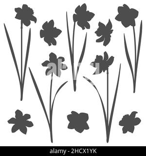 Set of black and white illustrations with a narcissus. Isolated vector objects on a white background. Stock Vector