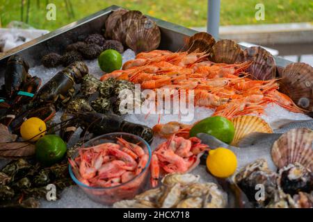 Shrimps, avocado, lemon, conch, oysters, clams and crayfish on counter: close up Stock Photo