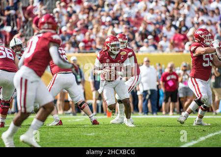 January 1, 2022: Arkansas Razorbacks quarterback KJ Jefferson (1) scrambles during the Outback Bowl between the Penn State Nittany Lions and the Arkansas Razorbacks at Raymond James Stadium Tampa, FL. Jonathan Huff/CSM. Stock Photo