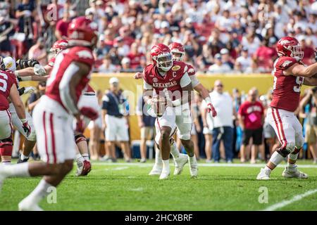 January 1, 2022: Arkansas Razorbacks quarterback KJ Jefferson (1) scrambles during the Outback Bowl between the Penn State Nittany Lions and the Arkansas Razorbacks at Raymond James Stadium Tampa, FL. Jonathan Huff/CSM. Stock Photo