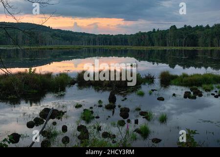 Forest reflection on lake during sunset Stock Photo