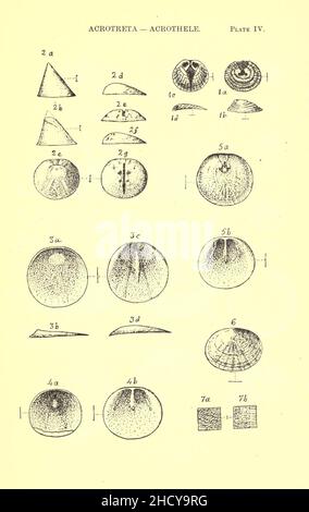 Report on the Cambrian rocks of Cape Breton Stock Photo - Alamy