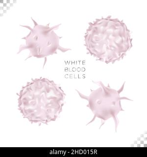 illustration of bioscience of immunity white blood cell circulating the human body Stock Vector