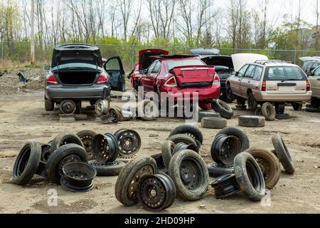 Used tires and wheels behind several scrapped Fords at the LKQ Pick Your Part auto salvage yard in Fort Wayne, Indiana, USA. Stock Photo